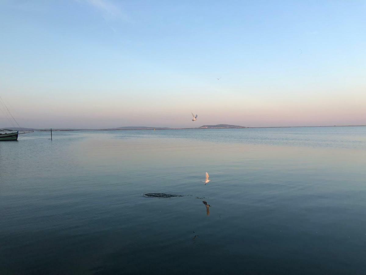 La Chambre Des Onglous Marseillan  Dış mekan fotoğraf